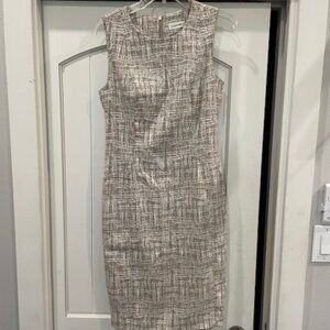 Calvin Klein Women's Size 8 Tan  Sleeveless Sheath Dress Gold Zipper